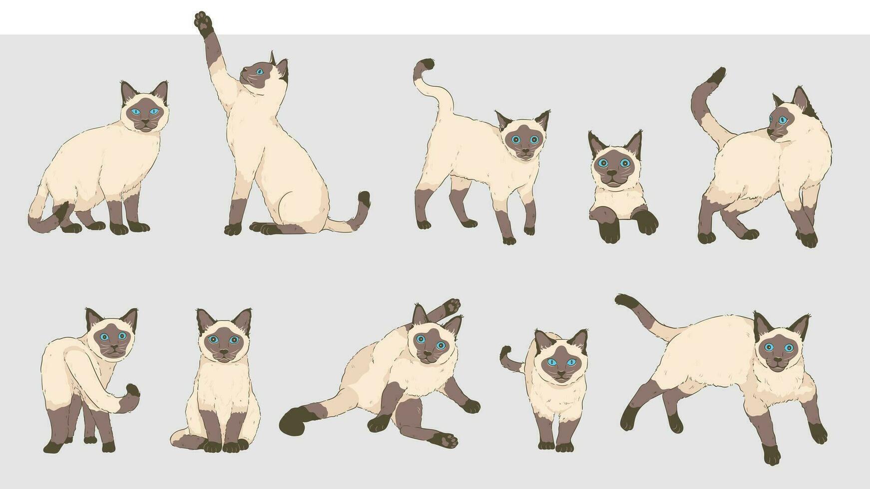 Cute Cartoon siamese Cat set vector