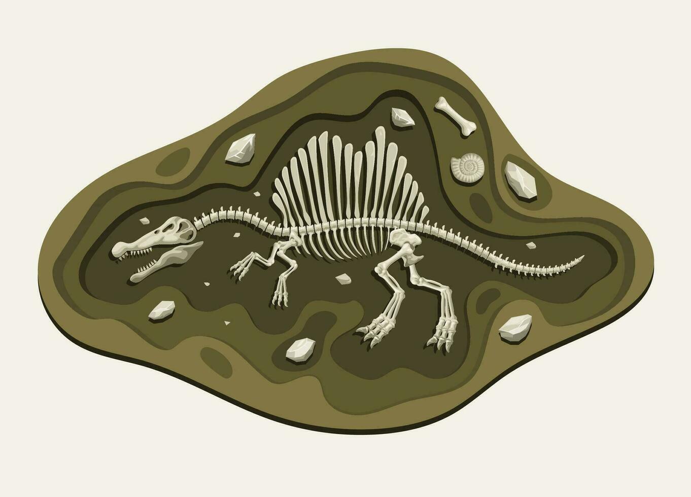 Spinosaurus dinosaurios arqueología fósil dibujos animados descubrir en el suelo vector