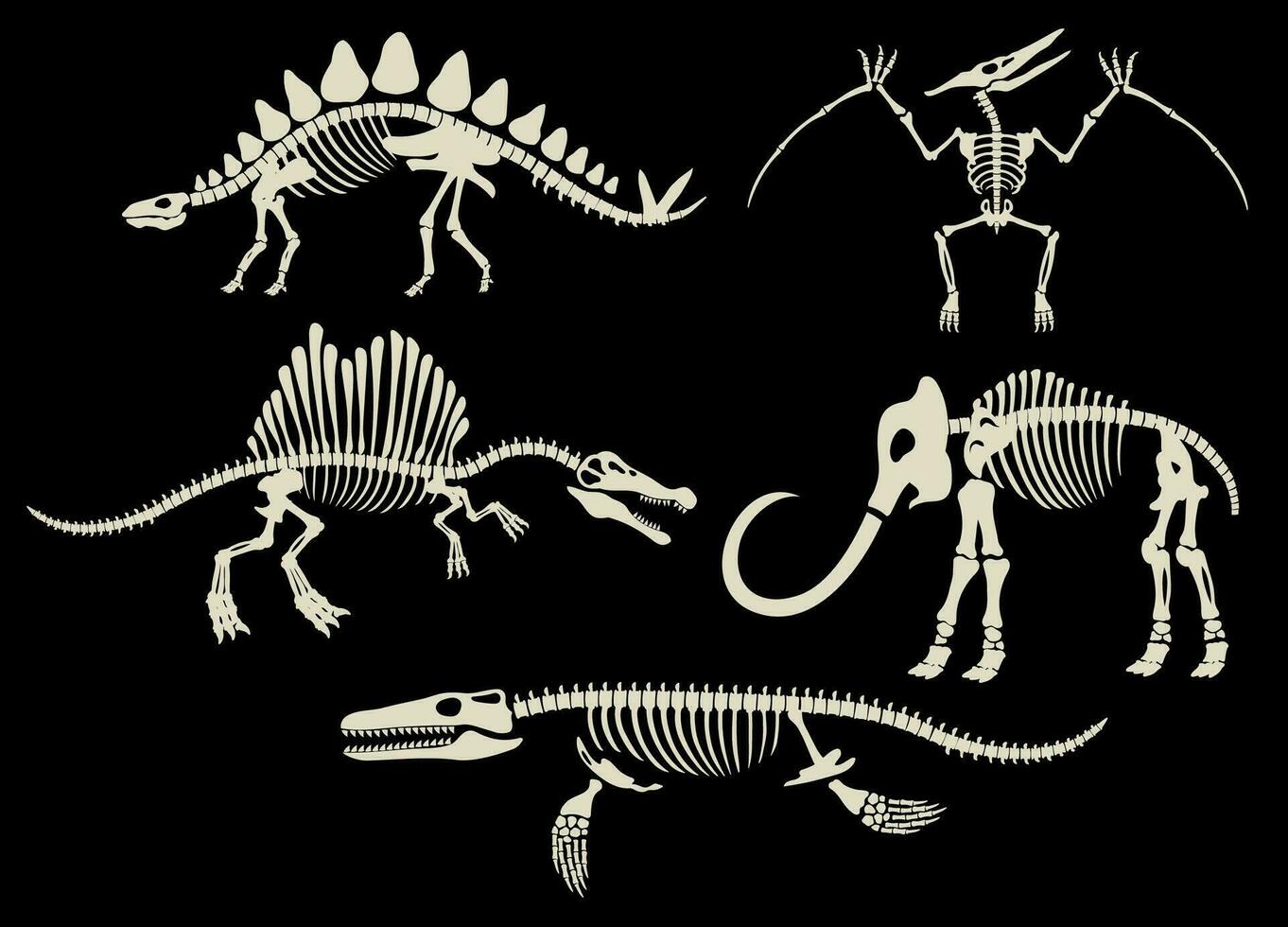 Set Collection of Dinosaur Fossils Archaeology Black and White vector