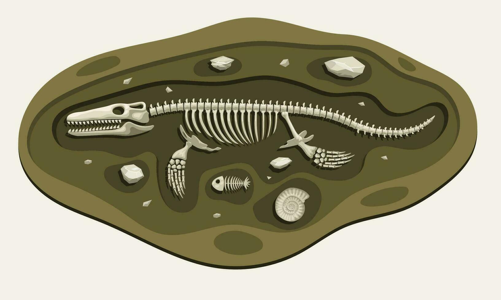 Mosasaurus Dinosaurs Archaeology Fossil Cartoon Discover in the Ground vector