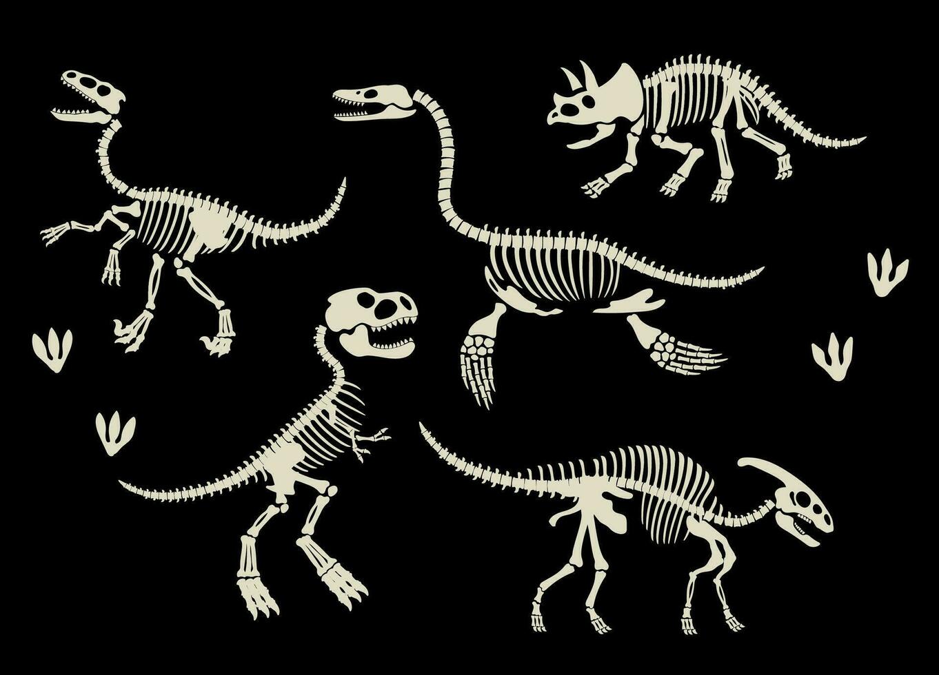 Set of Dinosaurs Skeleton Fossil Collection vector