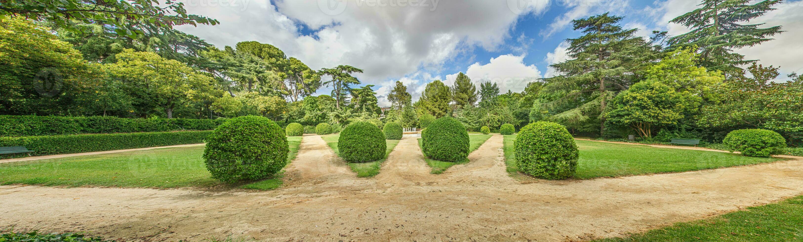 impresión desde un bien mantenido jardín con precisamente cortar arbustos en verano foto
