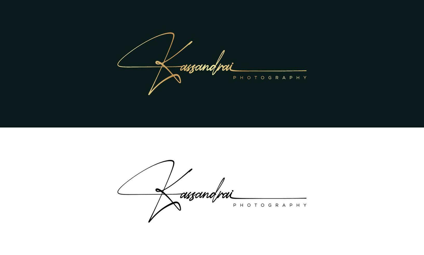 Handwriting Photography logo template vector. signature logo concept vector