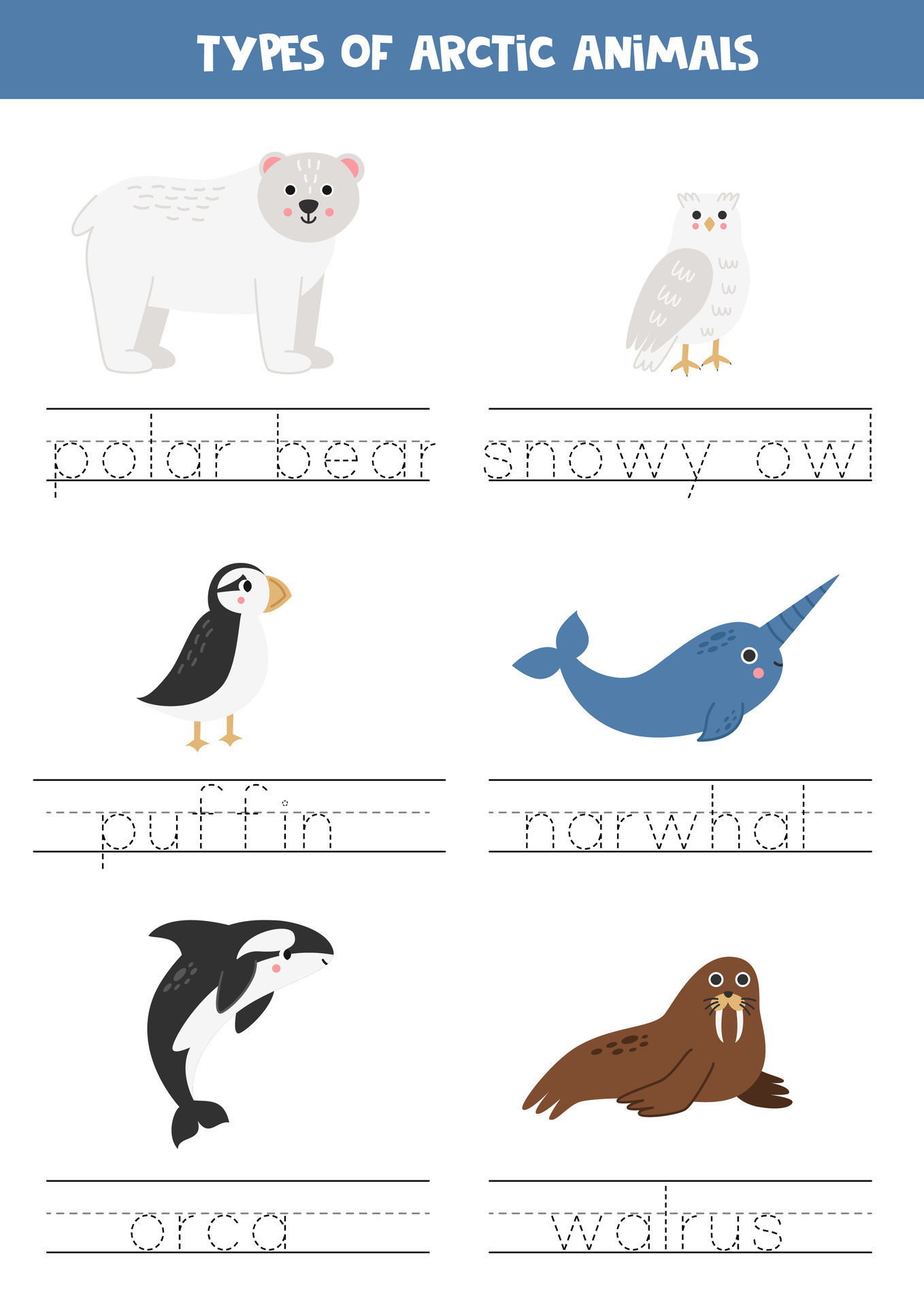 Tracing names of arctic animal types. Writing practice. 27176970 Vector
