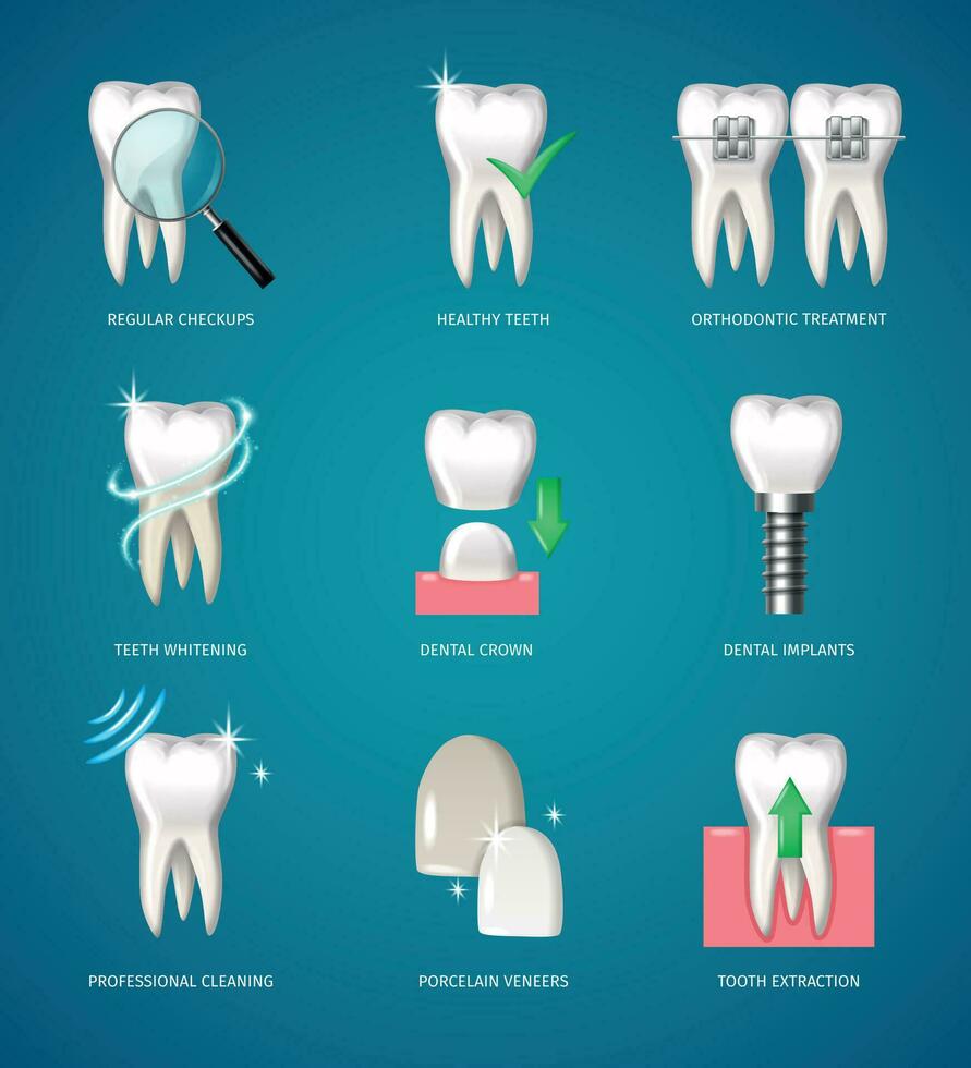 dientes realista íconos vector