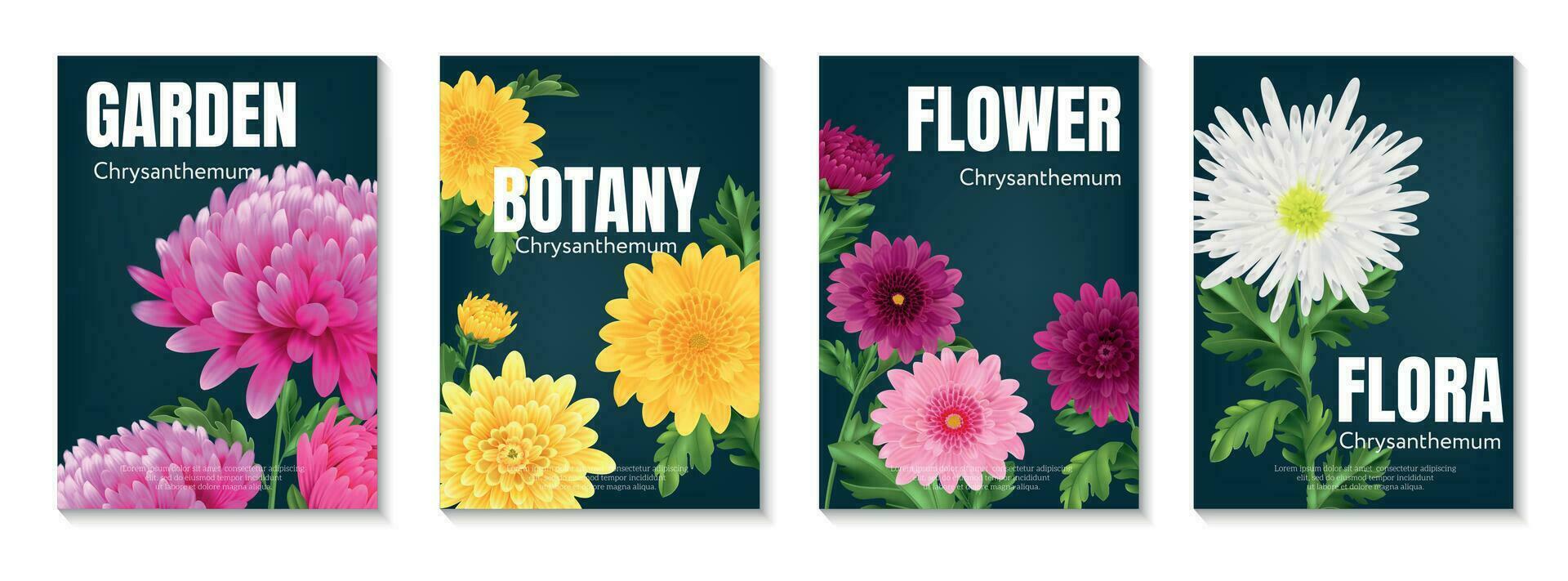 Realistic Chrysanthemum Poster Set vector