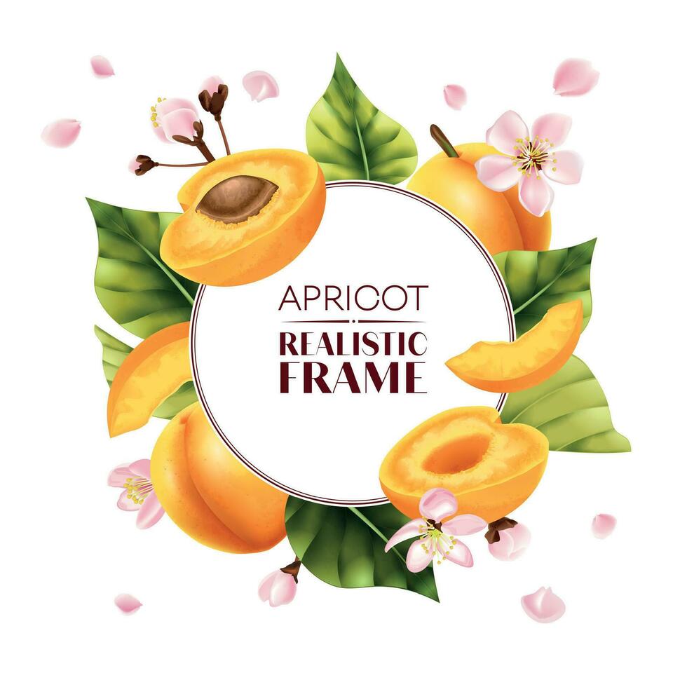 Apricot Round Frame Composition vector