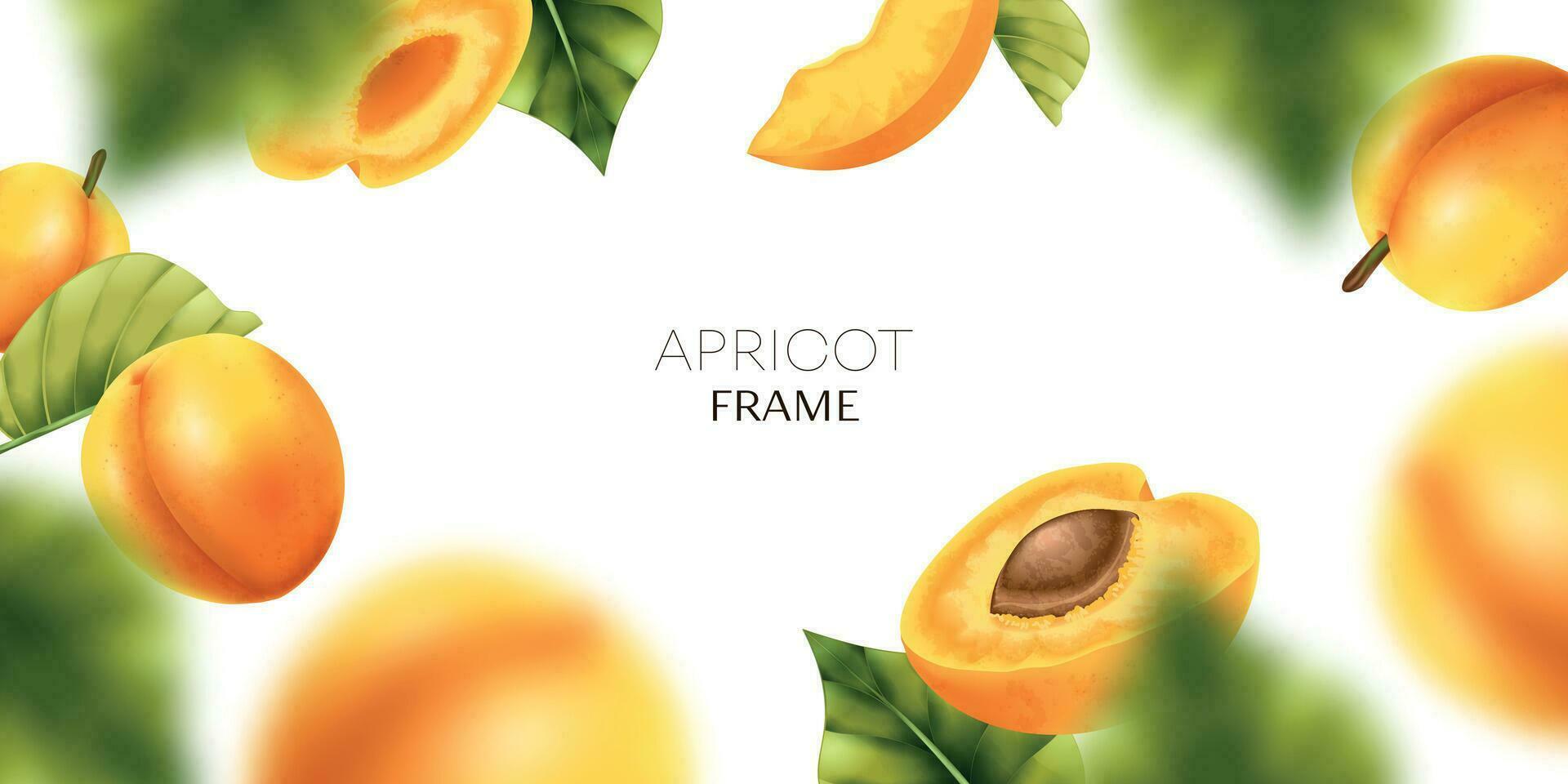Apricot Realistic Frame Composition vector