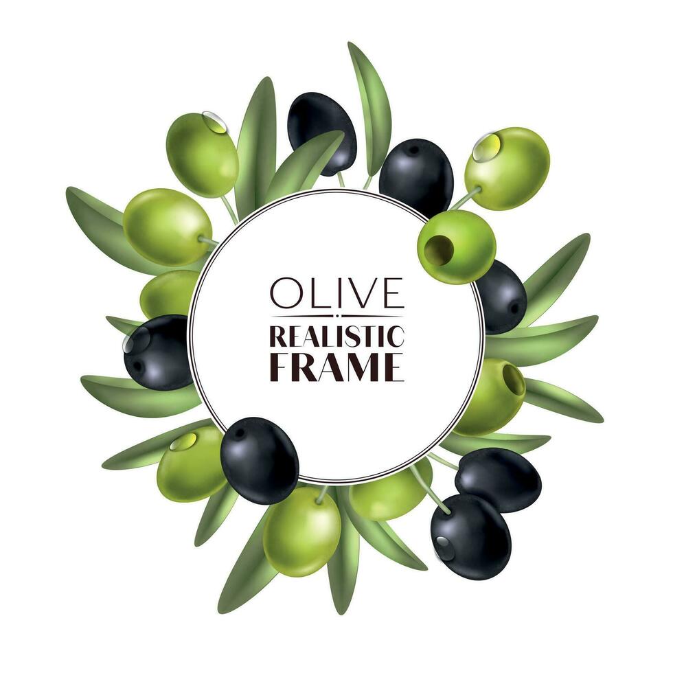 Realistic Olive Round Composition vector