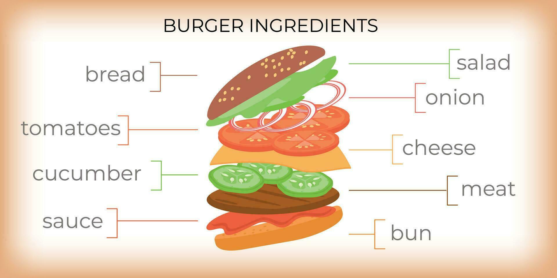 hamburguesa ingredientes plano infografia vector