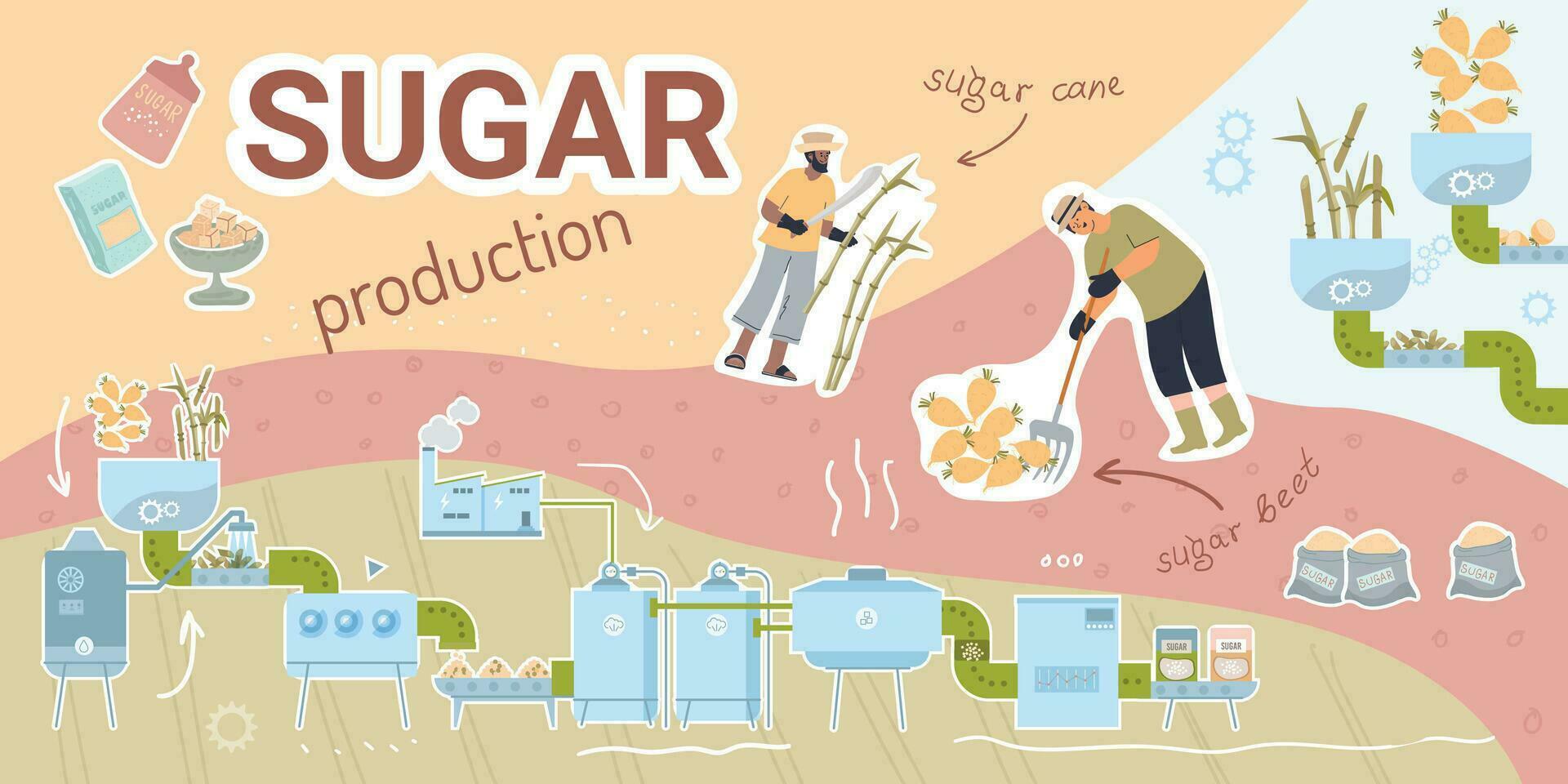 Sugar Production Flat Collage vector