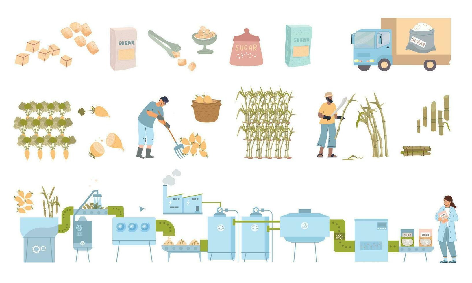 Sugar Production Icons Collection vector