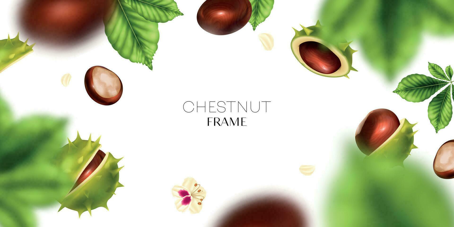 Realistic Chestnut Frame vector