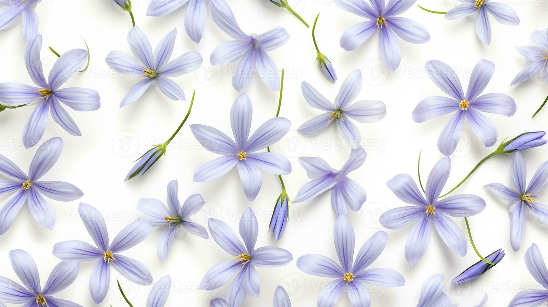 Blue Eyed Grass flower pattern background. Flower background texture. Generative AI photo