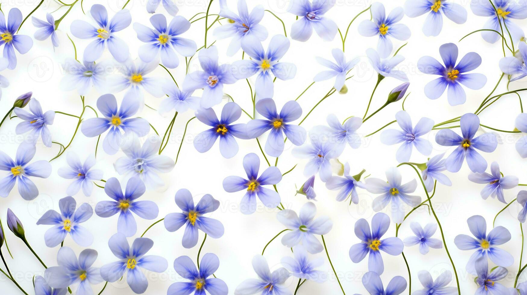 Blue Eyed Grass flower pattern background. Flower background texture. Generative AI photo