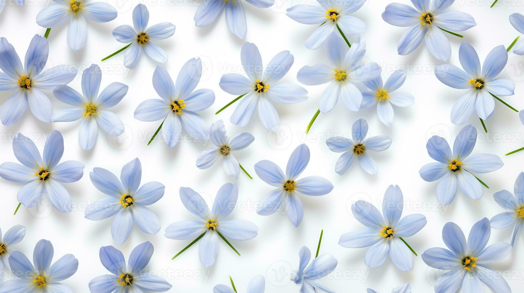 Blue Eyed Grass flower pattern background. Flower background texture. Generative AI photo