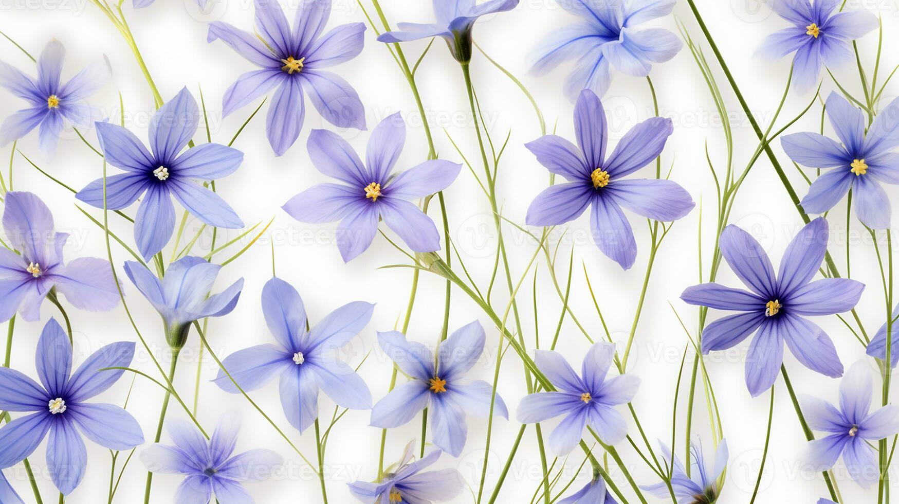 Blue Eyed Grass flower pattern background. Flower background texture. Generative AI photo