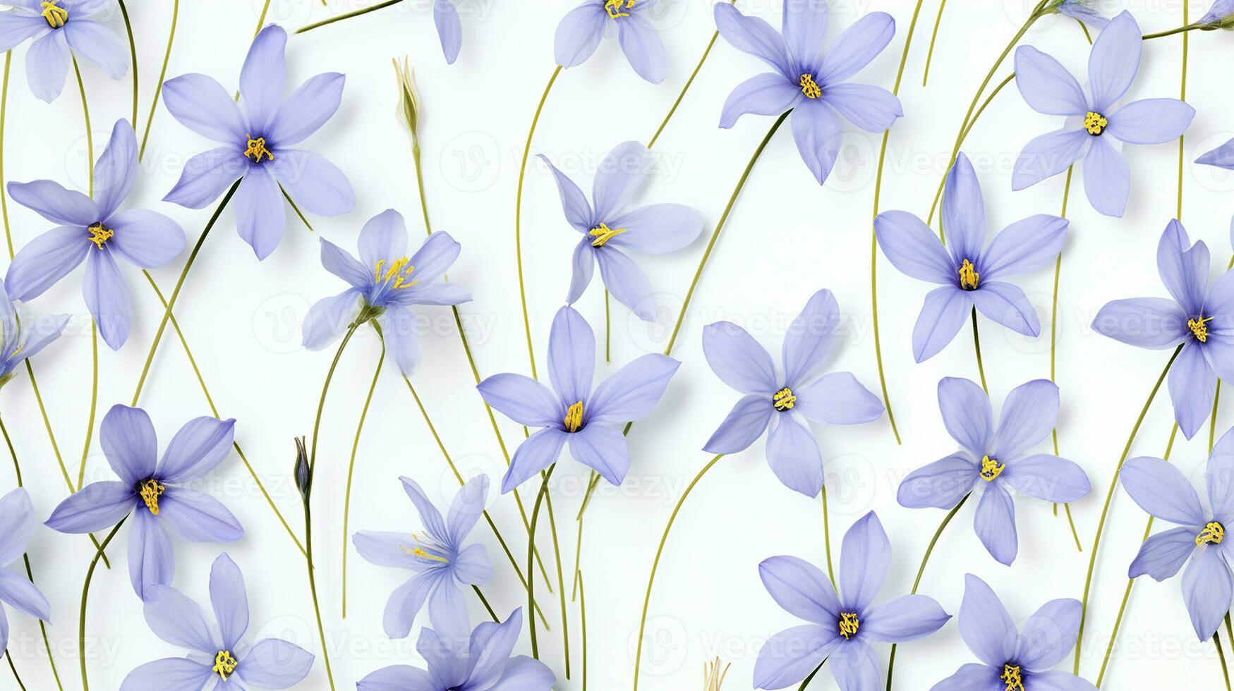 Blue Eyed Grass flower pattern background. Flower background texture. Generative AI photo