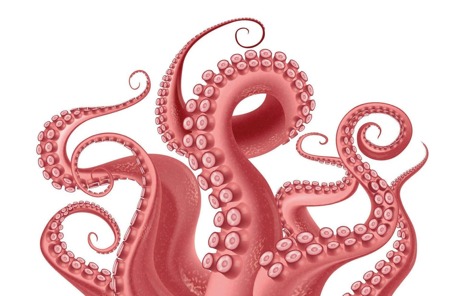 Octopus Abstract Illustration vector