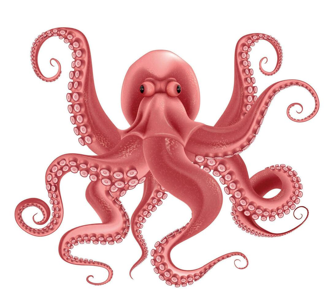 rojo pulpo realista objeto vector