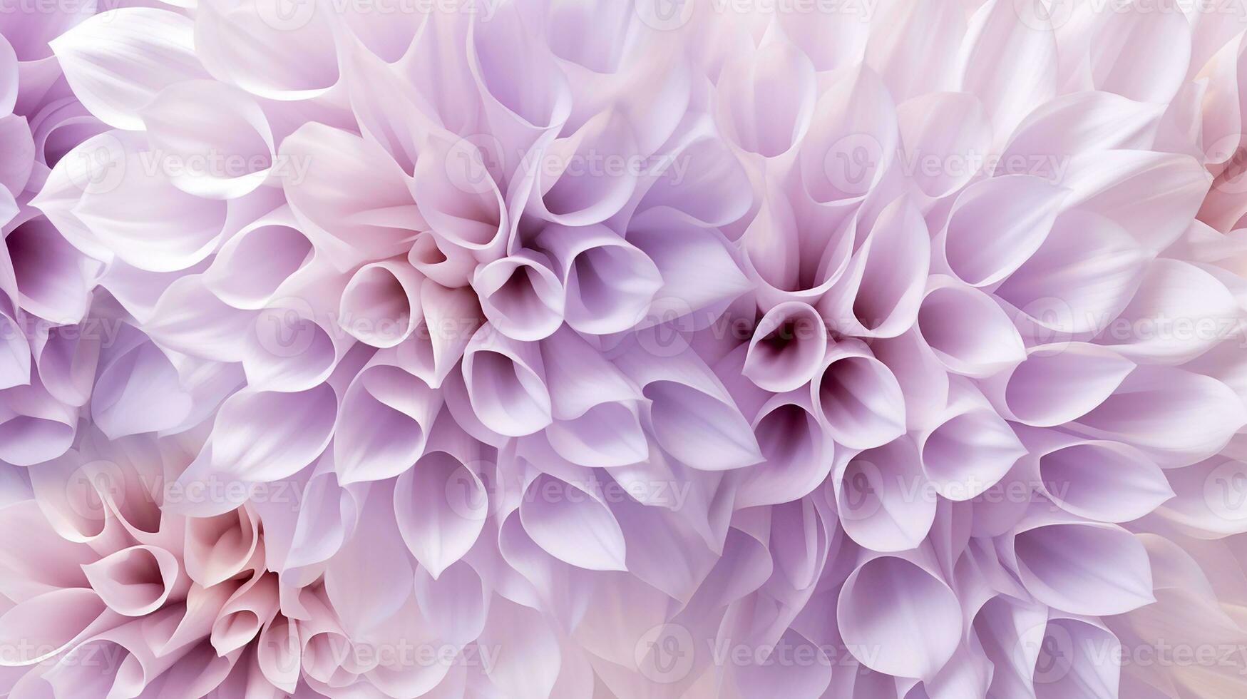 Aster flower pattern background. Aster flower background texture. Generative AI photo