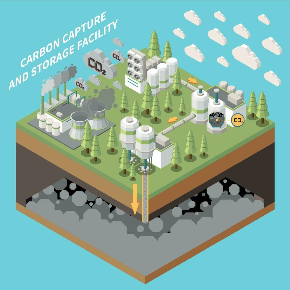 Carbon Storage Facility Composition vector