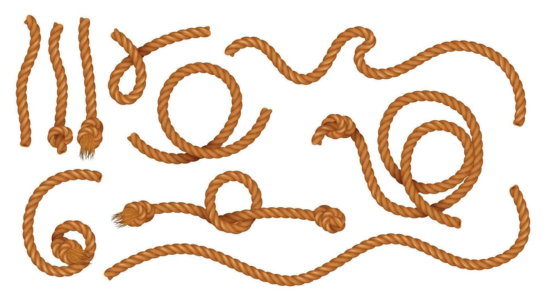 Curved Pieces Of Natural Jute Cords vector