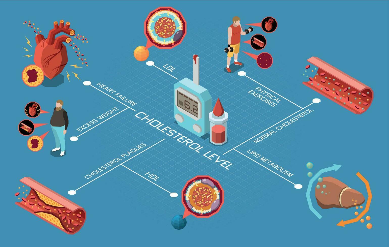 Cholesterol Level Flowchart vector