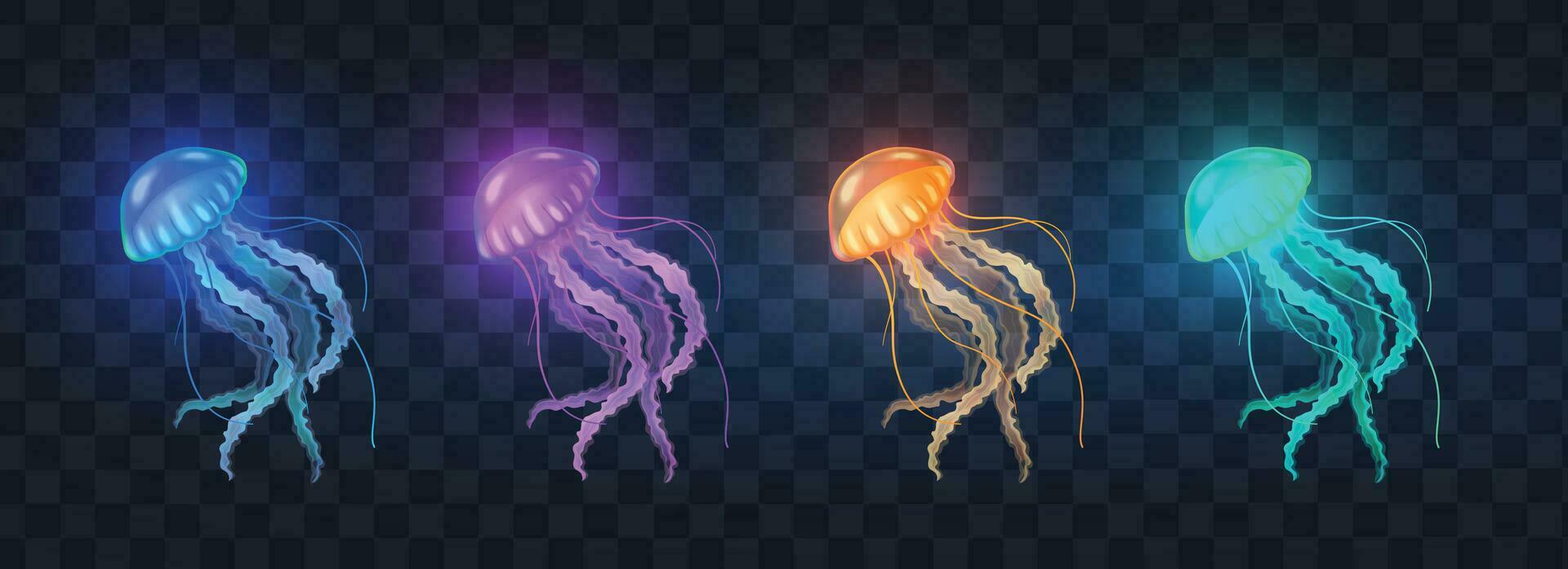 Jellyfish Realistic Set vector