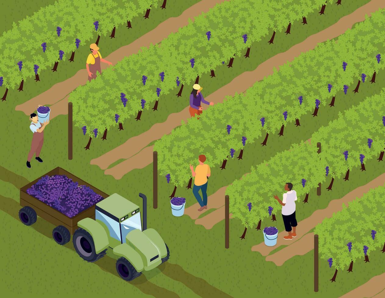 Isometric Vineyard Concept vector