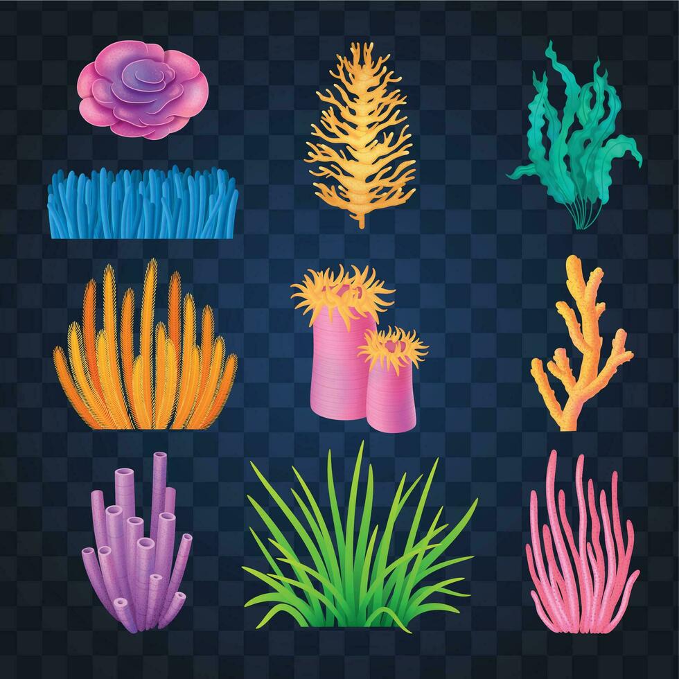 Coral Reef Set vector