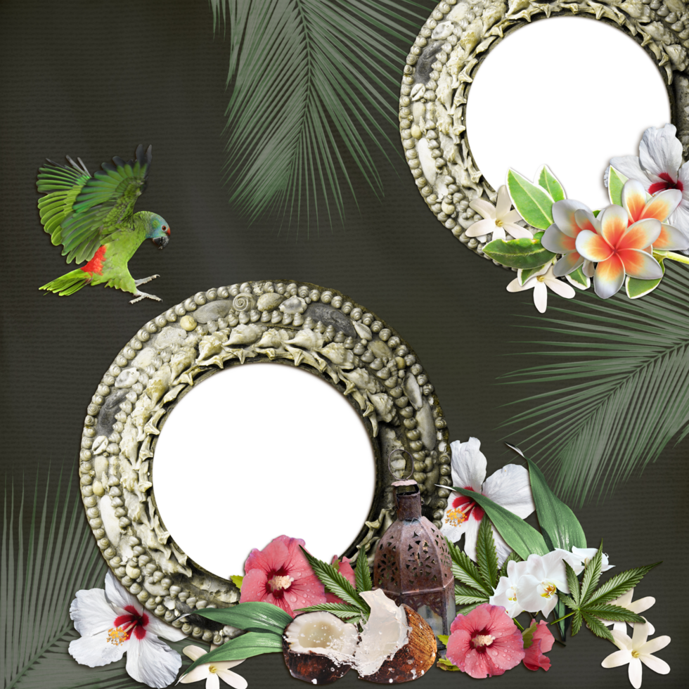 Summer Clipart Summertime Clipart 27180181 PNG summer-clipart-summertime-clipart-27180181-png