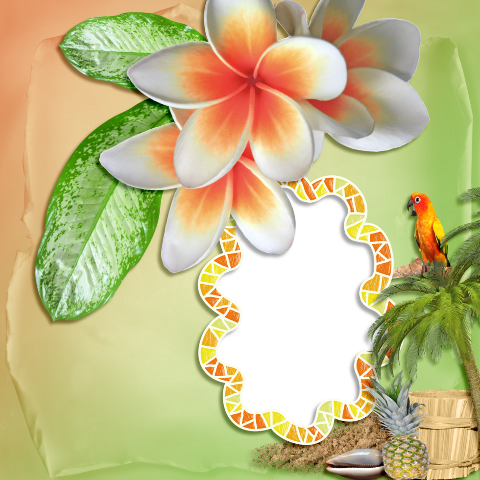Summer Clipart Summertime Clipart 27180232 PNG summer-clipart-summertime-clipart-27180232-png