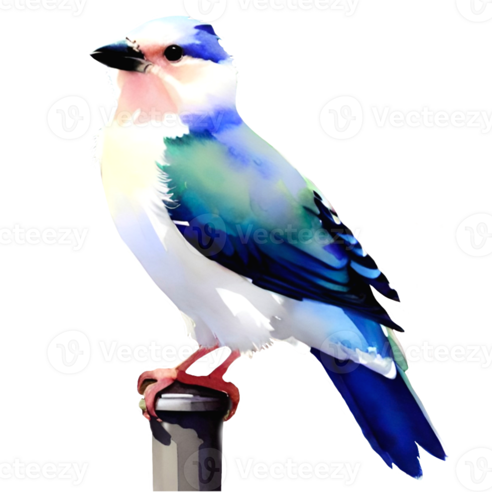 Watercolor Blue Bird 27180939 PNG