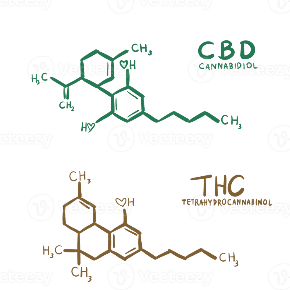 CBD and THC chemical structure hand written that decorated by heart instead of O or Oxygen position png