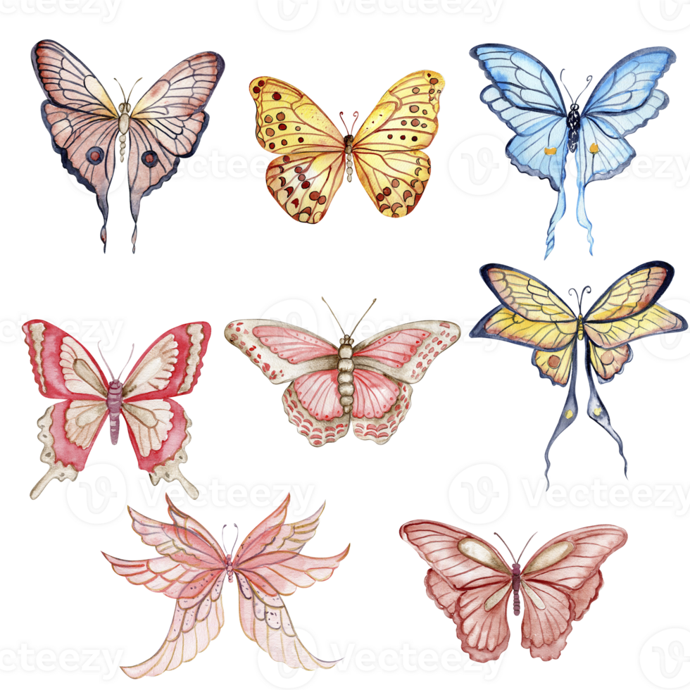 Watercolor colorful butterflies, isolated on transparent