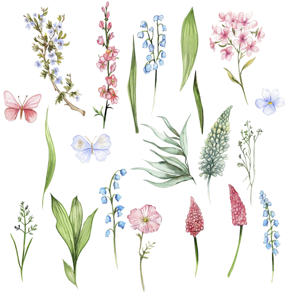 Wildflowers set. Watercolor hand drawn illustration png