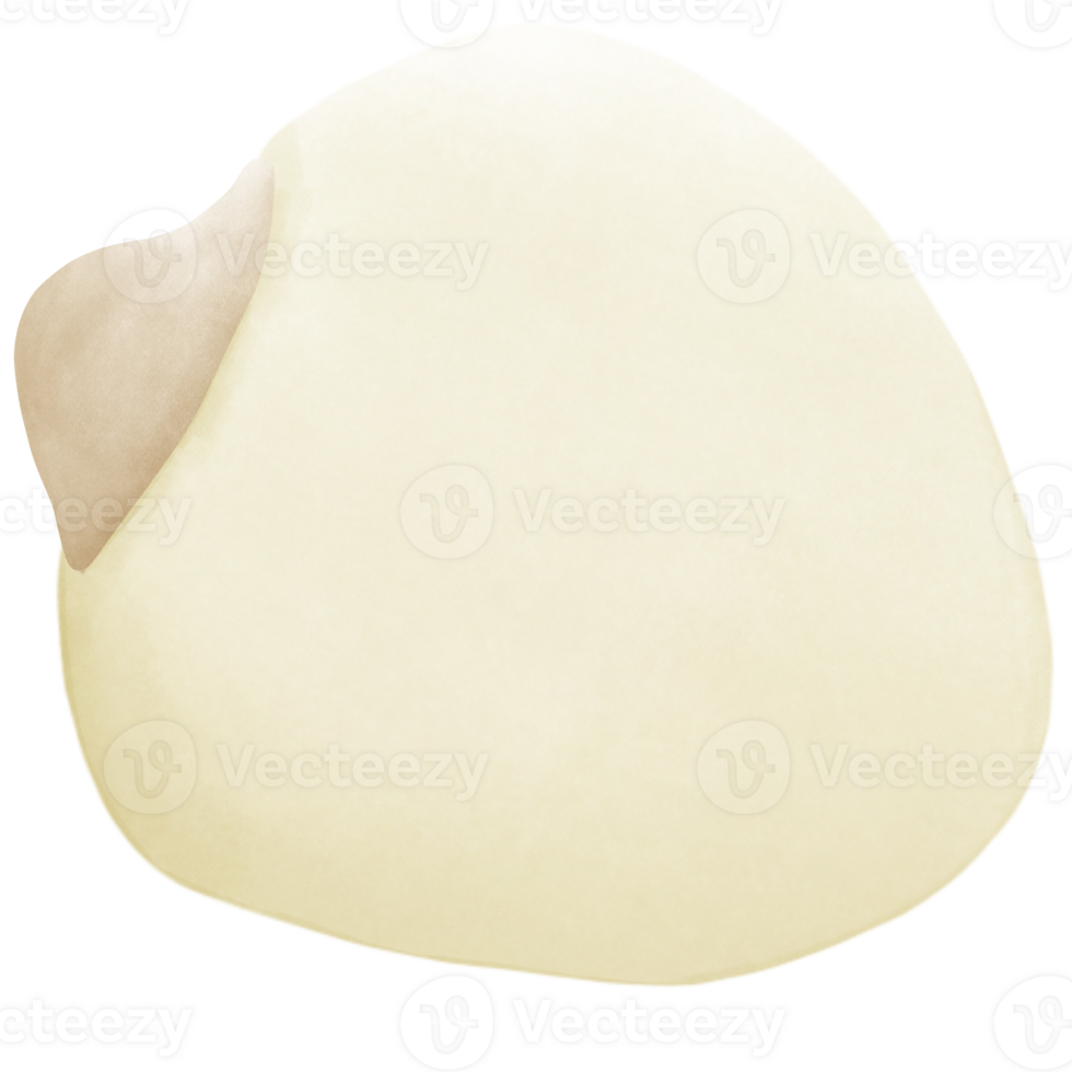 Lotus seed inside the shower png