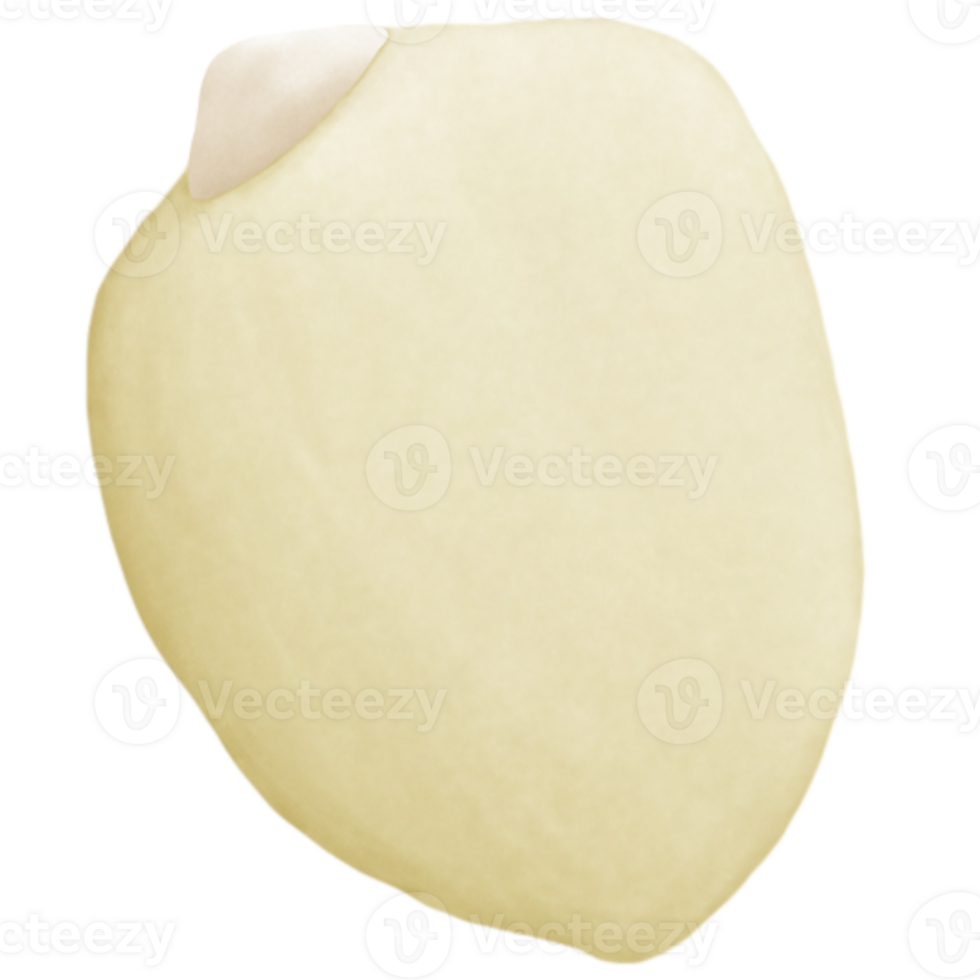Lotus seed inside the shower png