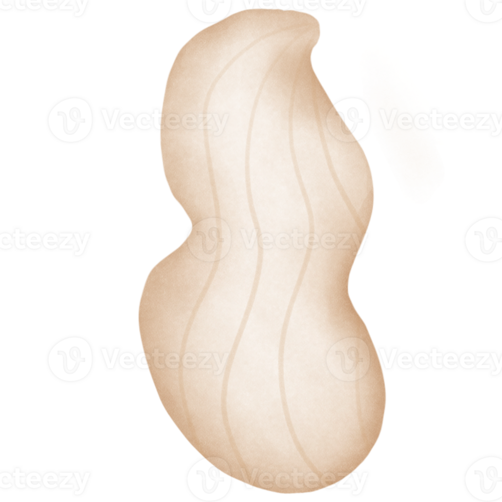Peanuts are used as ingredients in cooking. png