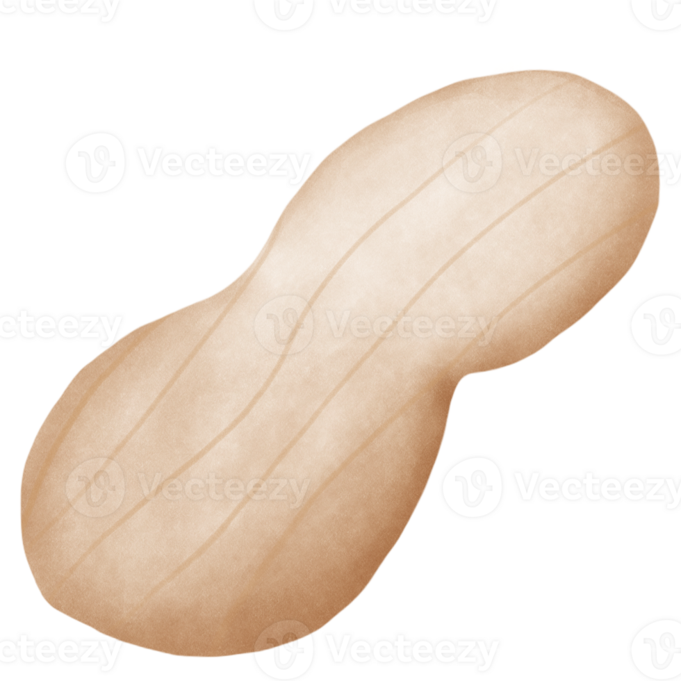 Peanuts are used as ingredients in cooking. png