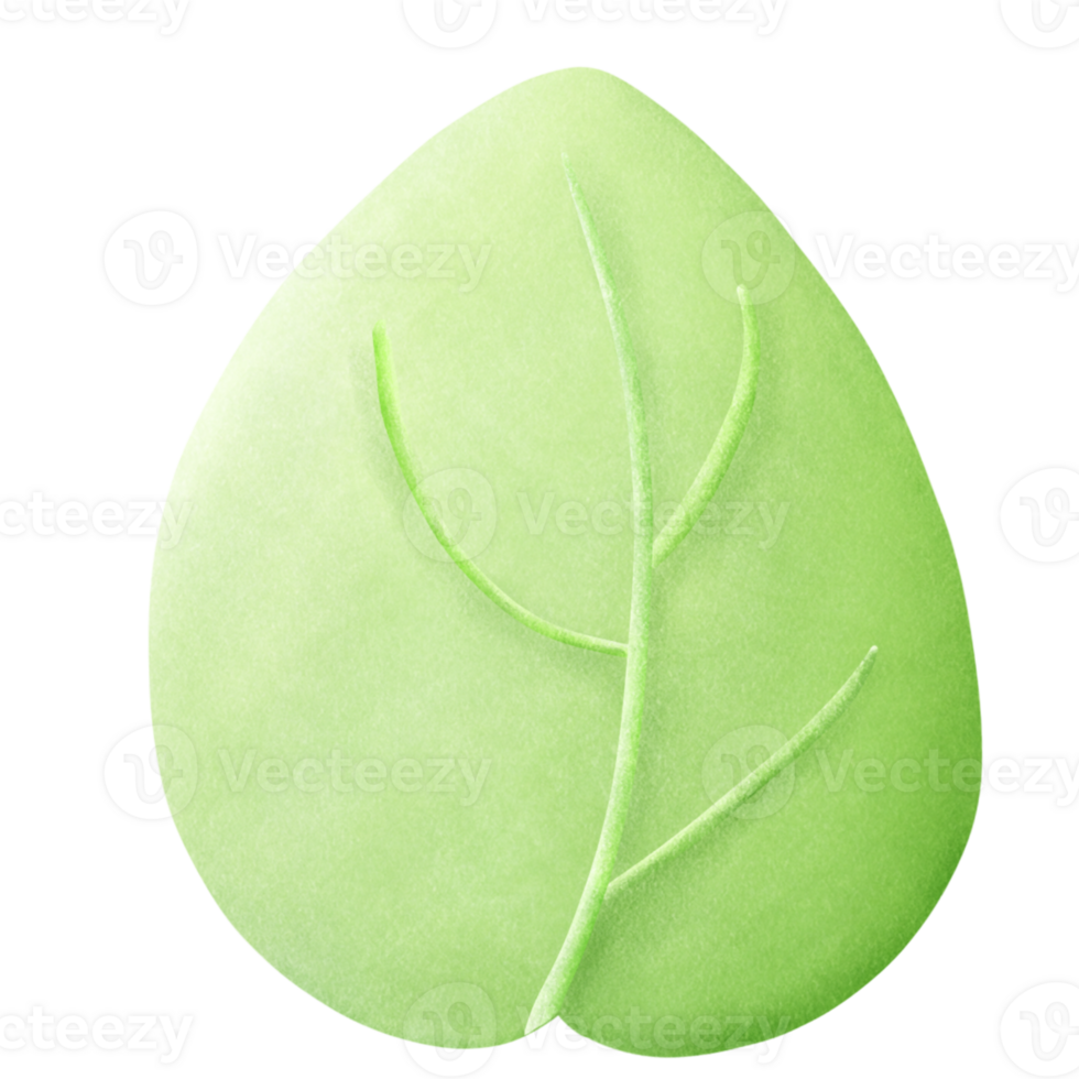 green leaf painting png