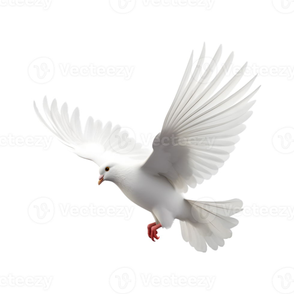 wit duif vliegend met Vleugels breed Open geïsoleerd Aan een transparant achtergrond png