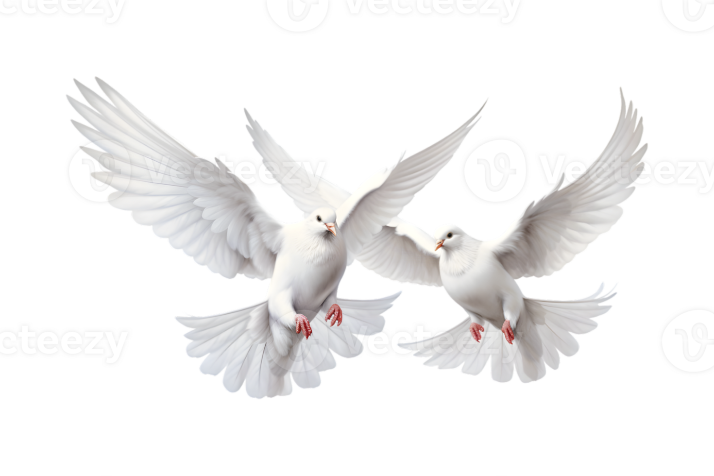Two white doves are flying isolated on a transparent background png