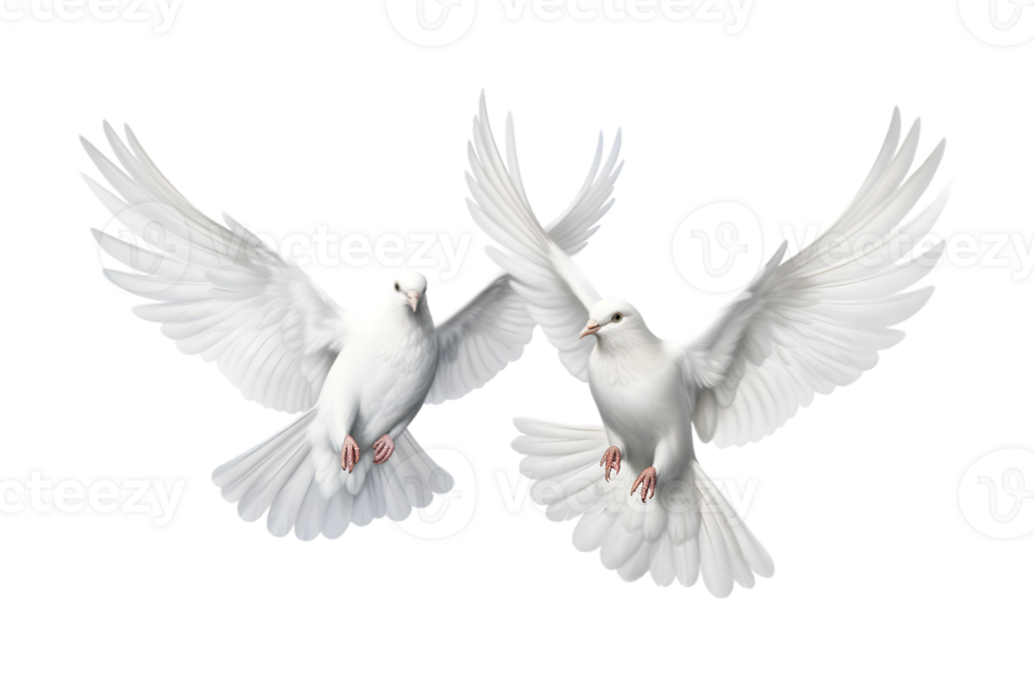 Two white doves are flying isolated on a transparent background png
