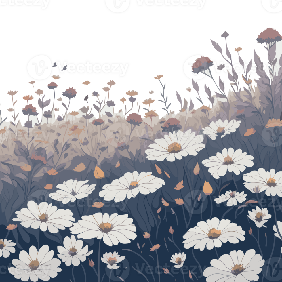 Floral background with chamomile flowers. png