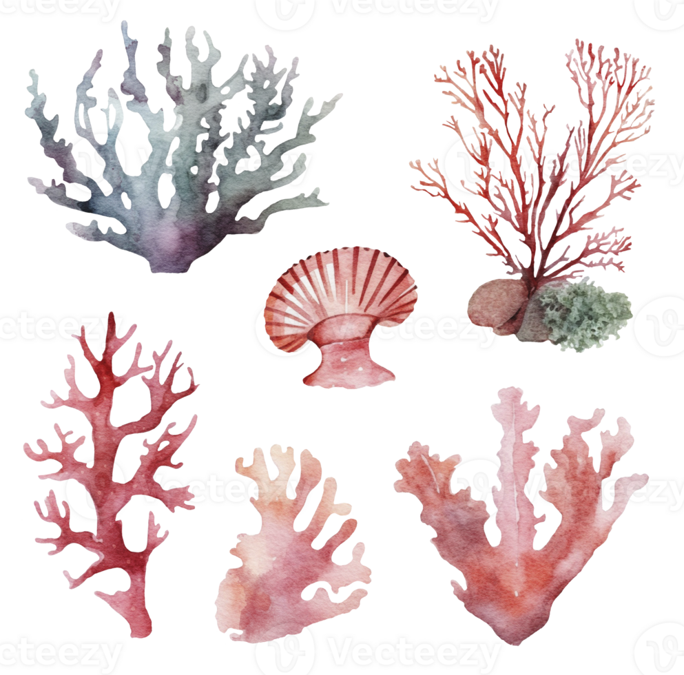 Set of sea corals on a white background, watercolor illustration. png