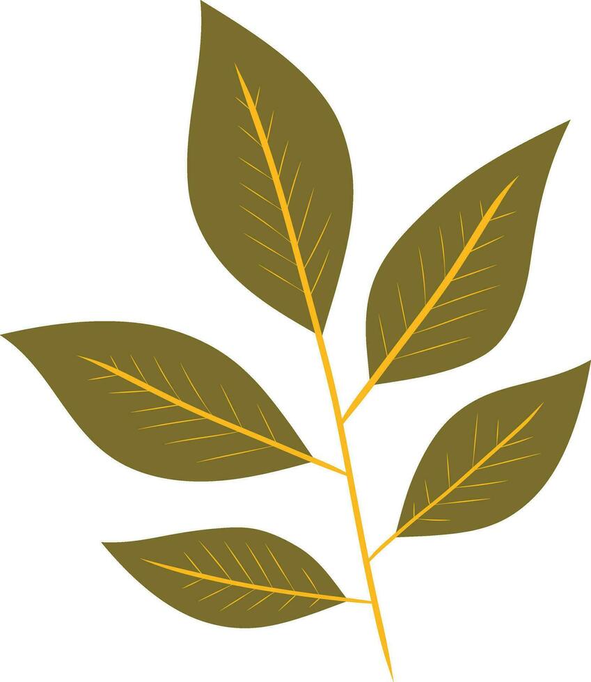 Green Autumn Leaf Element vector