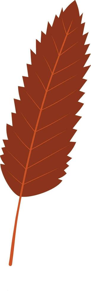 Maroon Autumn Leaf Element vector