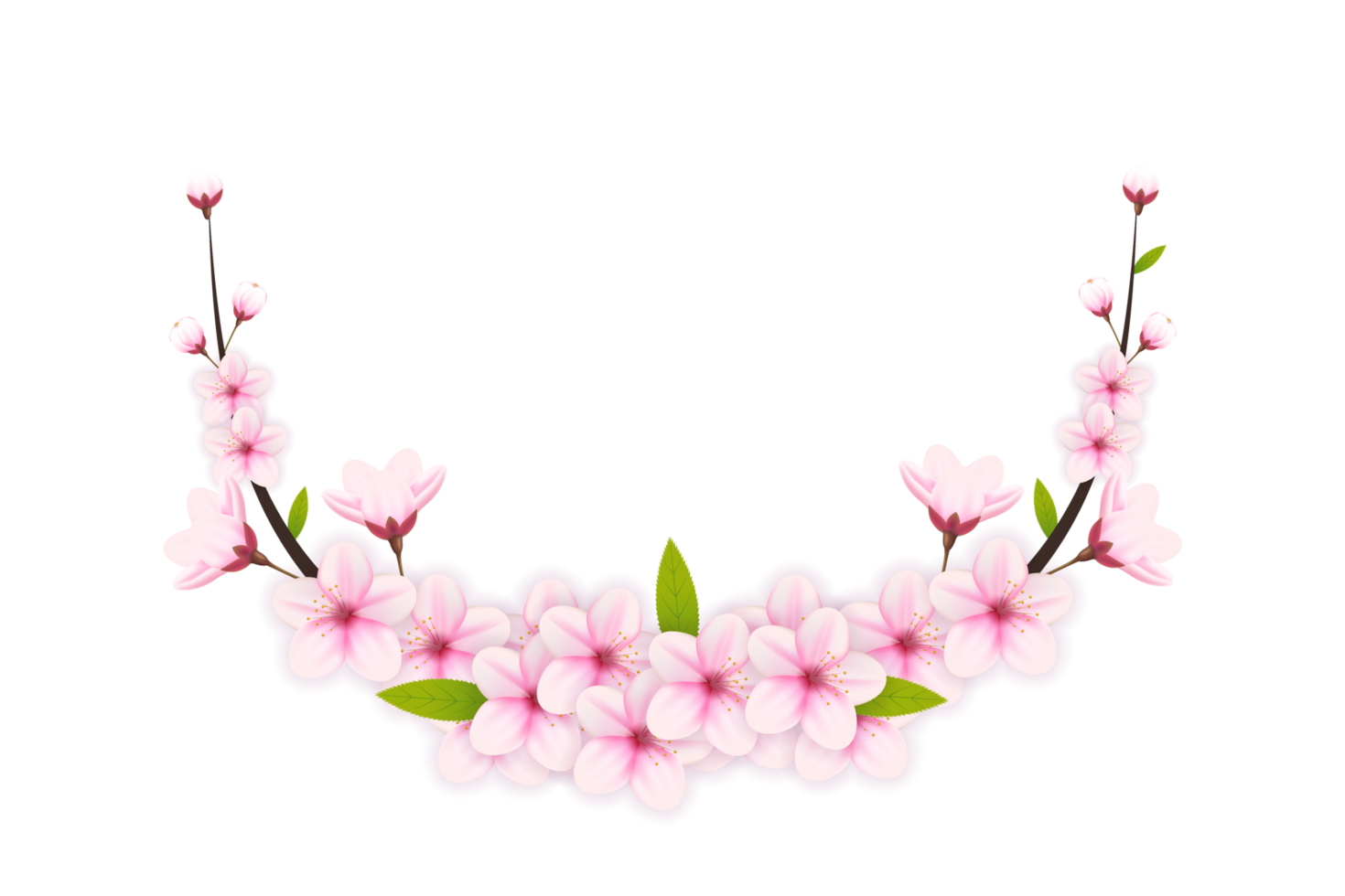 kers bloesem Afdeling met sakura bloem. kers bloesem. kers knop. roze sakura bloem png